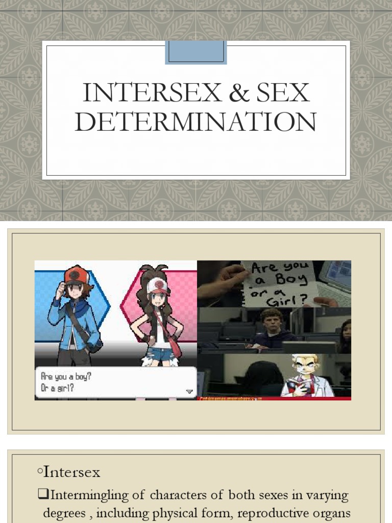 Intersex Conditions and Anatomy Overview | PDF | Sex | Intersex