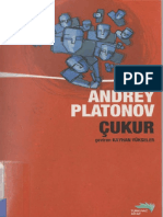 Andrey Platonov-Çukur