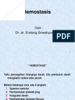 Hemostasis - Sudah