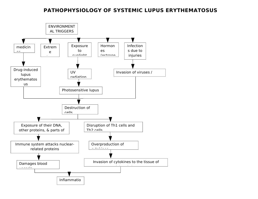 Understanding Systemic Lupus Erythematosus | PDF | Systemic Lupus ...