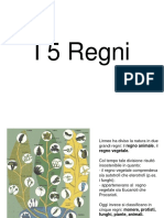 I 5 Regni e La Classificazione Dei Viventi