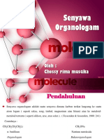 Organologam