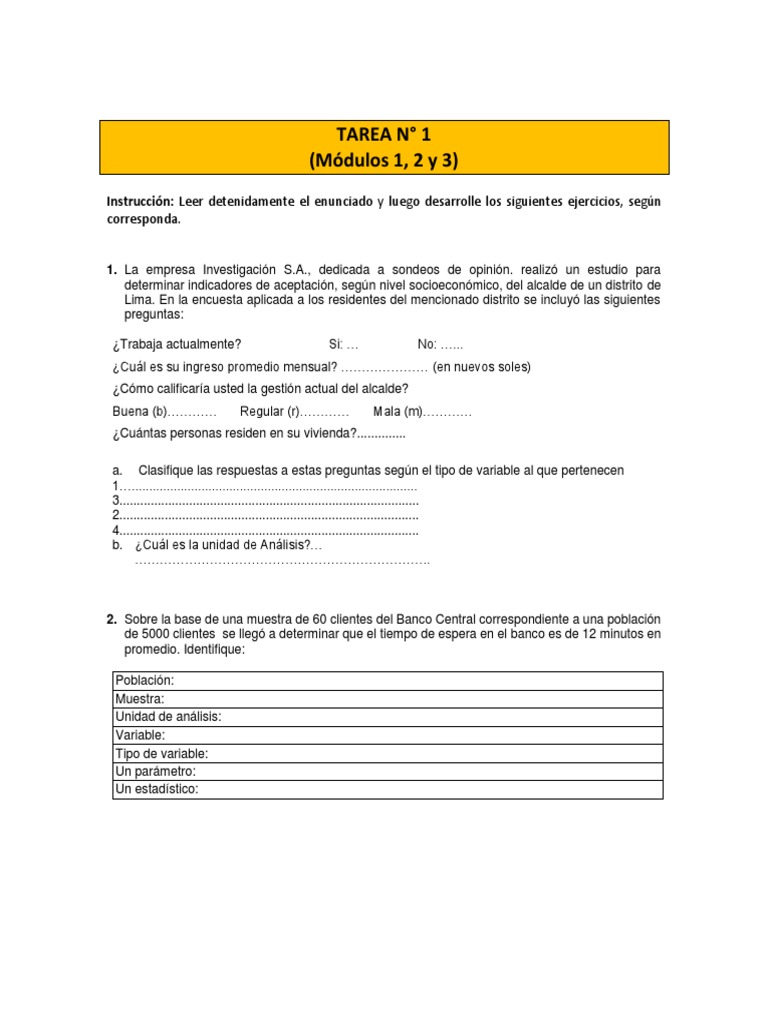 Formato T1 PROES | PDF