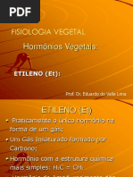 4 Etileno (Et) Novo 2016