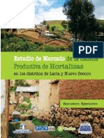 Hortalizas AYACUCHO PDF