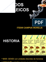 Acidos Nucleicos