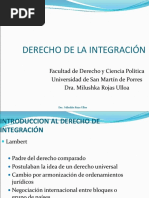 OkeyDerecho_de_la_Integracion.ppt39271937.ppt