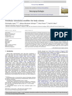 Lopez Body Schema Vestibular