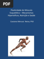 Plasticidade Do Músculo Esquelético – Botucatu 2015