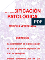 5 Calcificacion Patologica