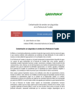 Informe Cenotes GP Final