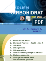 Metabolisme Karbohidrat 2009