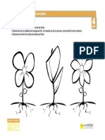 Plantas Conocemosplantas 4 PDF