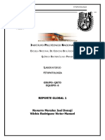 Reporte Global 1er Parcial