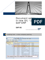 Doc_Split_Leading_SAP.pdf