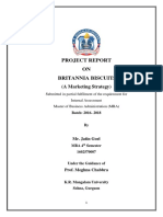 Project Report of Britannia Biscuits