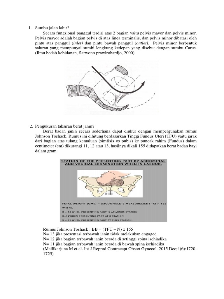 sumbu jalan lahir sumbu jalan lahir