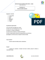 Atividade_1_BolasSabaoGigantes.pdf
