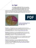 MacConkey Agar