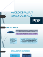 Microcefalia y Macrocefalia