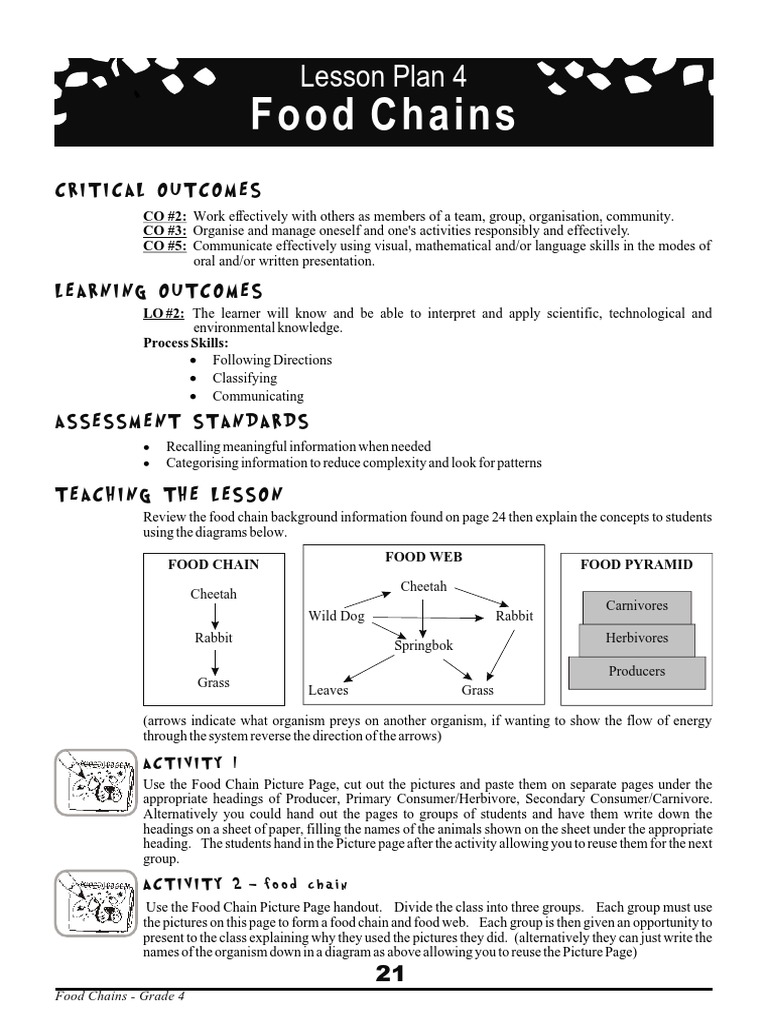 Food Chains: Lesson Plan 4 Biology Diagrams