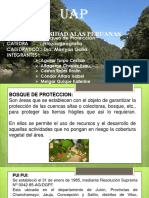 BOSQUES DE PROTECCION.pptx