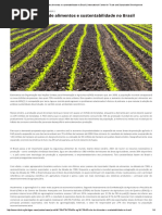 Produção Agrícola de Alimentos e Sustentabilidade No Brasil _ International Centre for Trade and Sustainable Development
