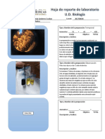 Reporte de Laboratorio de Carbohidratos