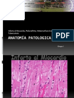 Cortes Histologicos