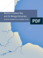 Western Hudson Bay Report, Oceans North