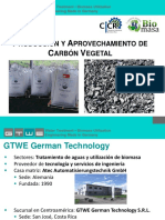 224 Produccion y Aprovechamiento de Carbon Vegetal Philipp Enderle Gtwe