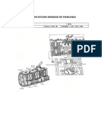 Terceiro Estudo Dirigido de Fisiologia