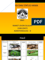 Identifikasi Dan Status Hama