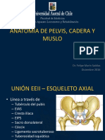 Anatomía Cadera y Pelvis