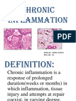 Chronic Inflammation Presentation