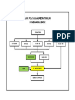 Alur Pemeriksaan Laboratorium Baru