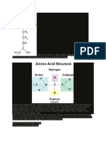Asam Amino Adalah Zat Organik Yang Mengandung Gugus Amino Dan Karboksil Yang Merupakan Senyawa Dasar Dalam Pembentukan Protein