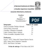 Genética 2° Reporte Monohibridismo