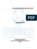 Implementacion_sistema_gestion.pdf