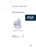 Project Report Iplay PDF
