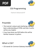 Cgi Programing