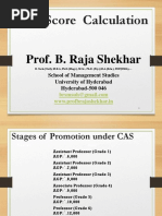 API Score Calculation: Prof. B. Raja Shekhar