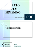 Anatomia Del Aparato Femenino