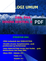Tentang DNA Dan RNA
