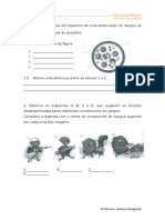 2º Teste 2º Periodo Sistema Circulatorio