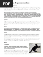 Gatos Domesticos