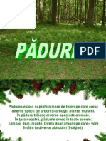 0_padurea (2).pps