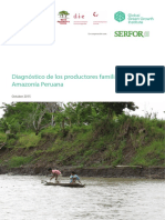 Diagnostico de Los Productores Familiares en La Amazonia Peruana