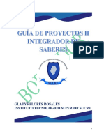 Guía. Proyectos II. Integrador de Saberes. 2018