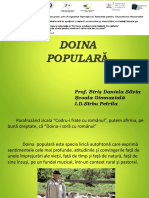 0_doina_ppt